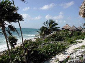 Cabanas Copal View